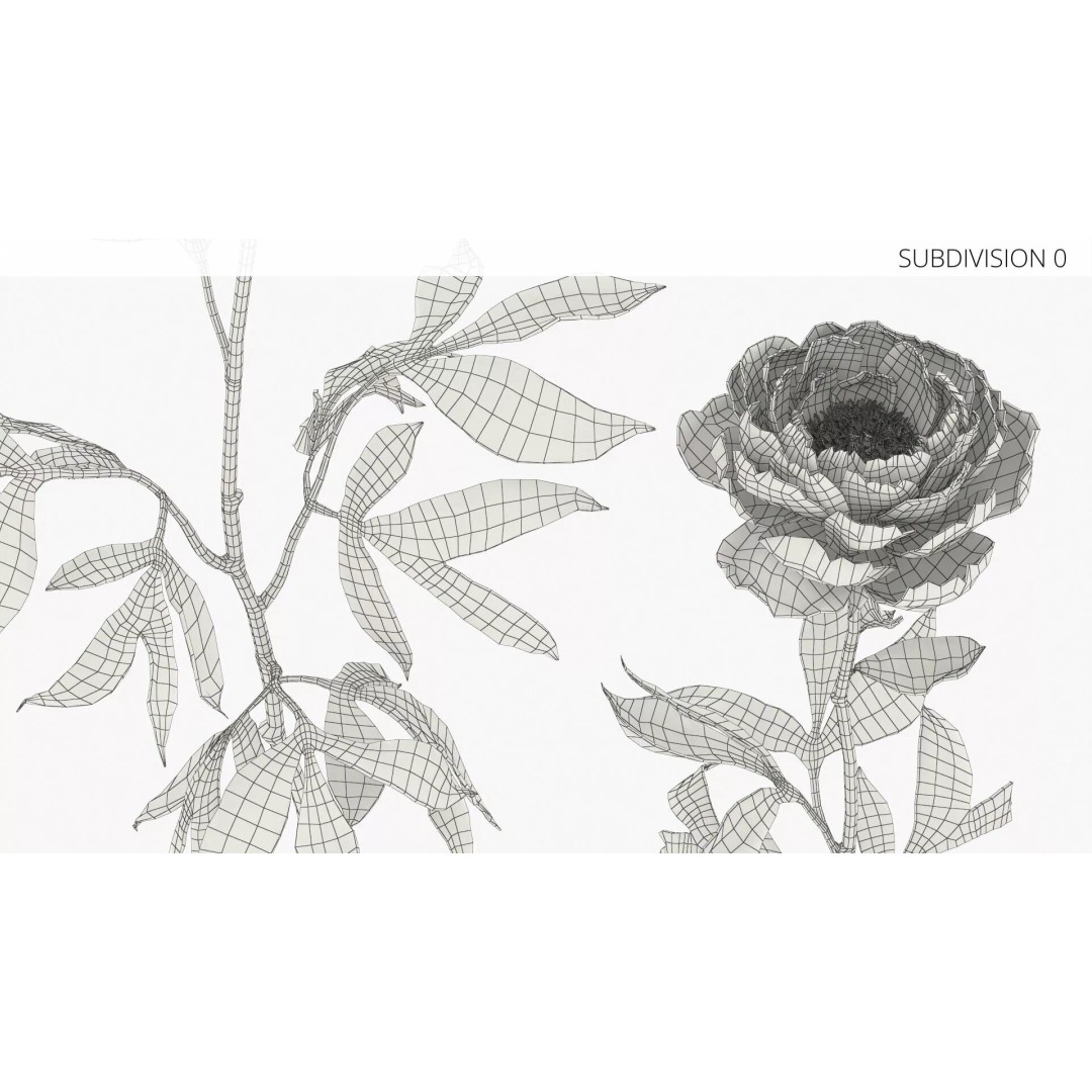 Single Peony Stem 3D Model – Realistic Floral Asset with PBR Textures - View 8