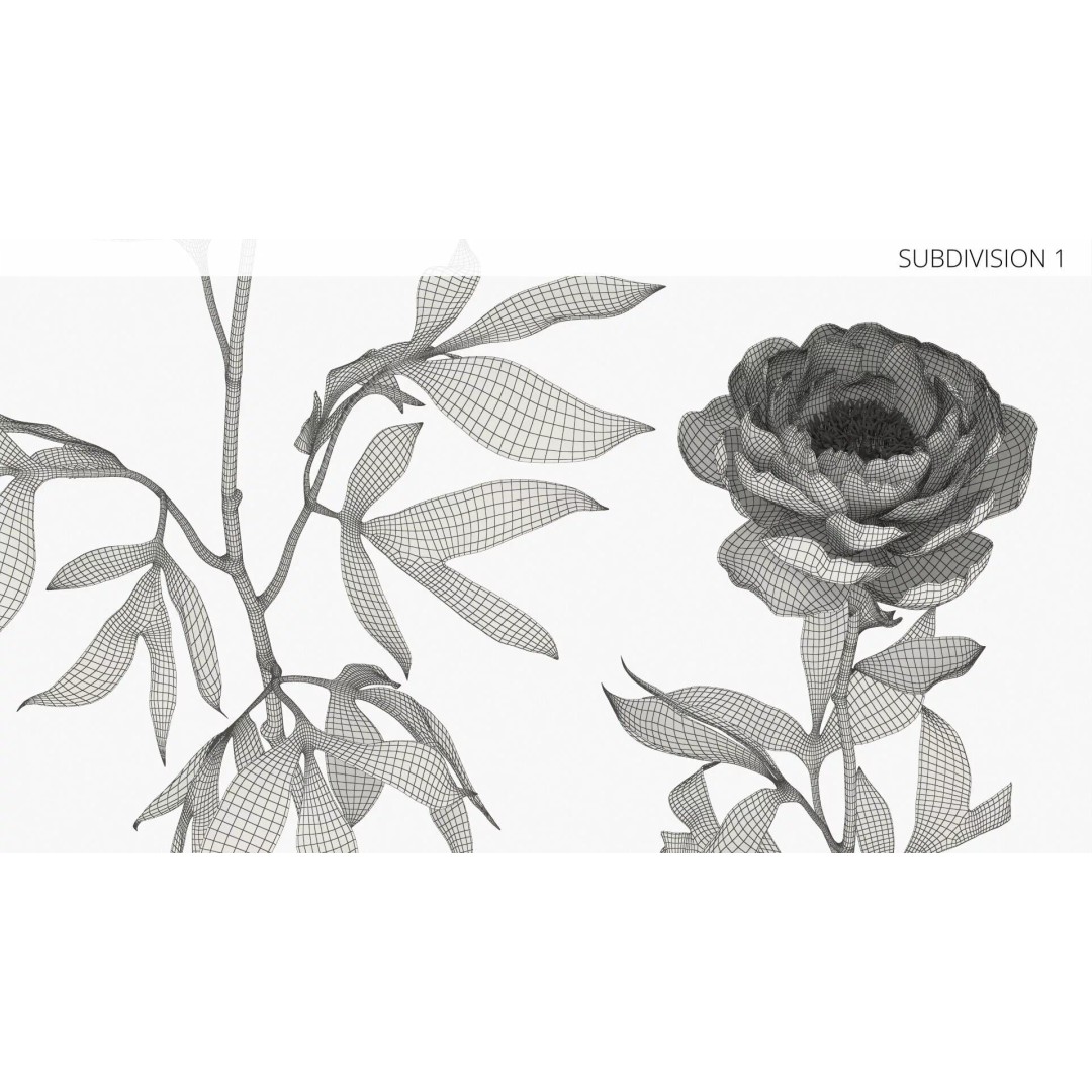 Single Peony Stem 3D Model – Realistic Floral Asset with PBR Textures - View 9