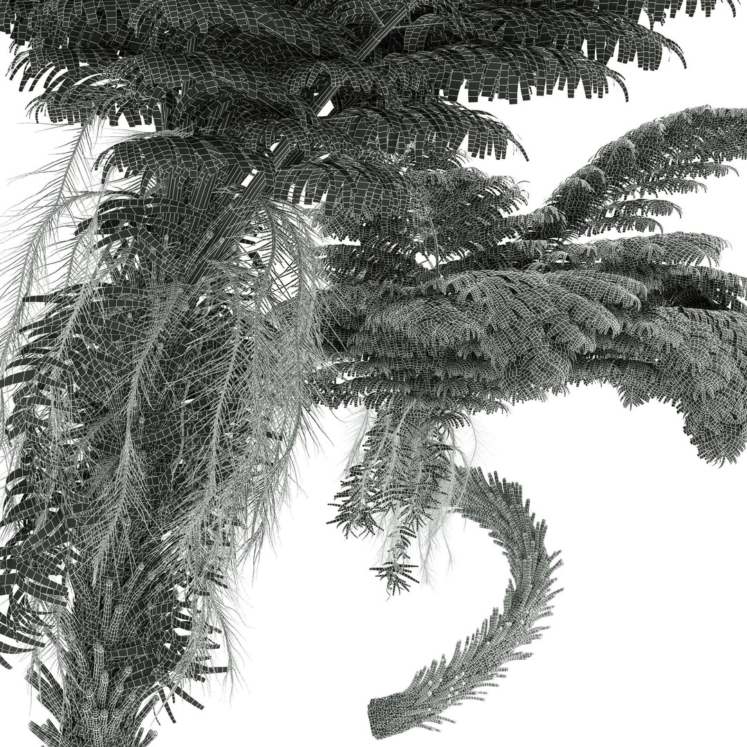 Alsophila Spinulosa Fern 3D Model – High Detail PBR Game Asset, FBX & OBJ - View 5