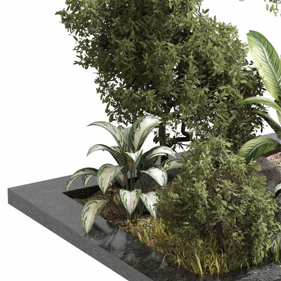 Outdoor Plant Set 04 3D Model – High Poly PBR Asset, FBX, OBJ