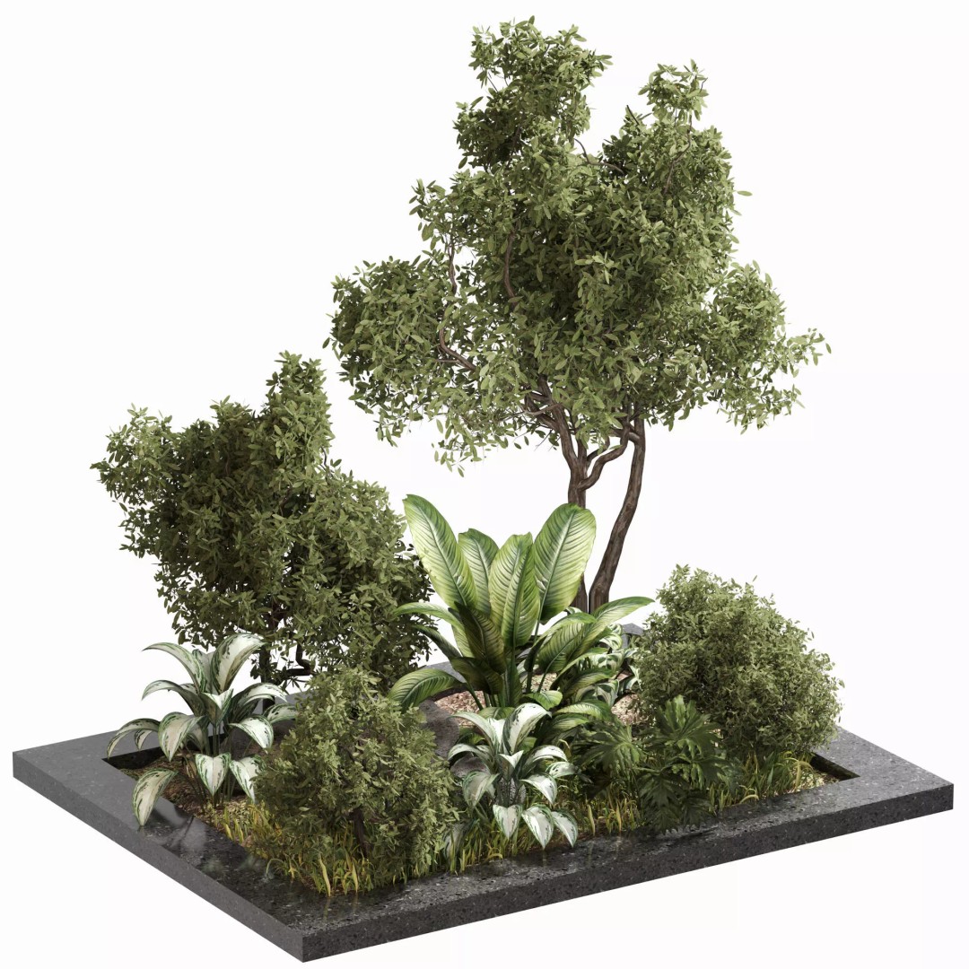 Outdoor Plant Set 04 3D Model – High Poly PBR Asset, FBX, OBJ - View 2