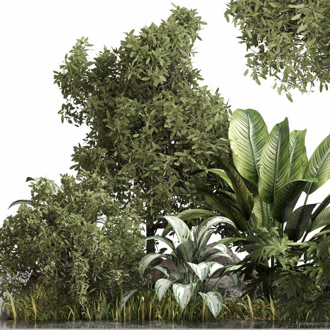 Outdoor Plant Set 04 3D Model – High Poly PBR Asset, FBX, OBJ - View 3