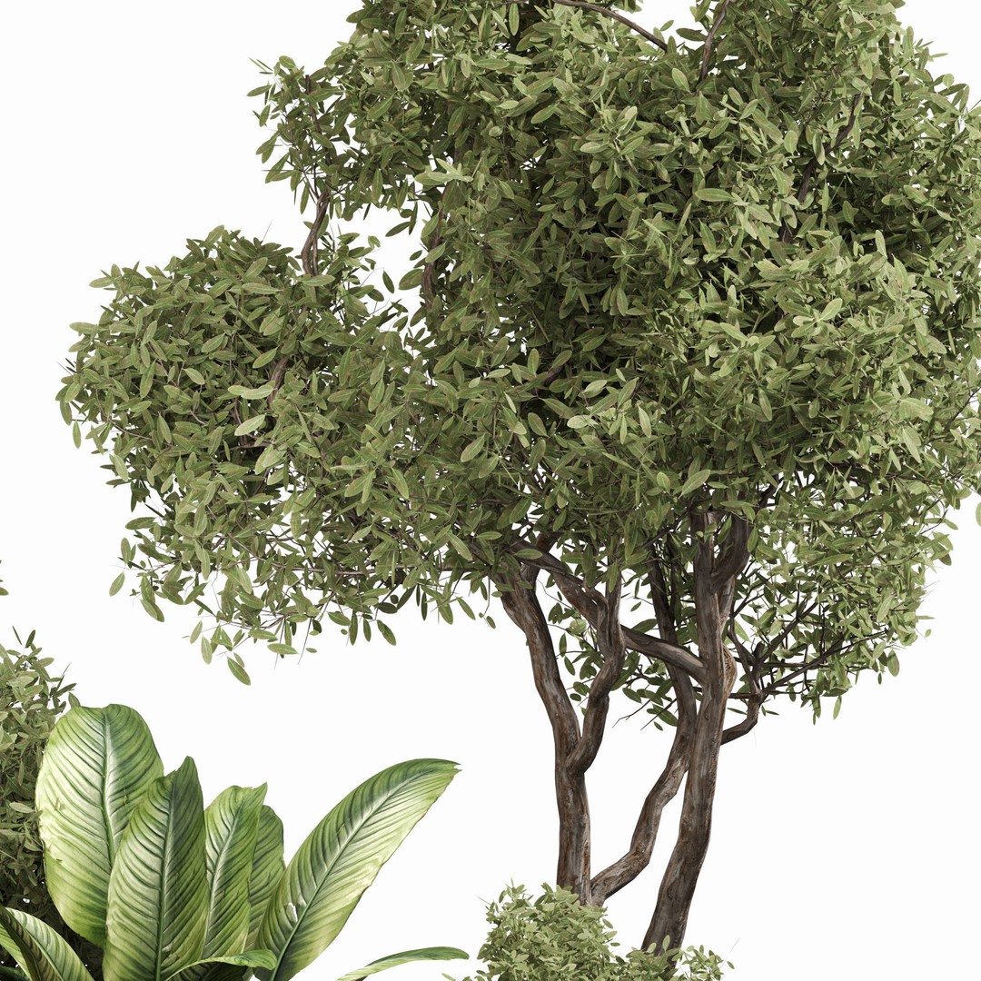 Outdoor Plant Set 04 3D Model – High Poly PBR Asset, FBX, OBJ - View 4