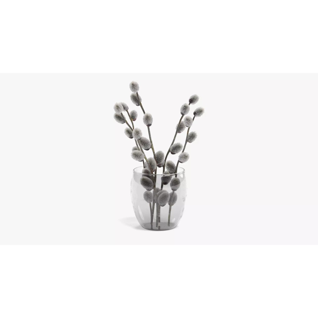 Willow Catkins 3D Model – Botanical Arrangement with PBR Textures