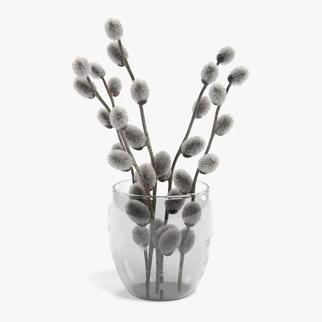 Willow Catkins 3D Model – Botanical Arrangement with PBR Textures - View 15