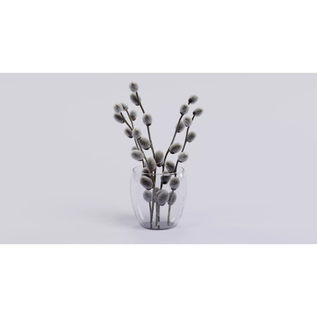 Willow Catkins 3D Model – Botanical Arrangement with PBR Textures - View 2