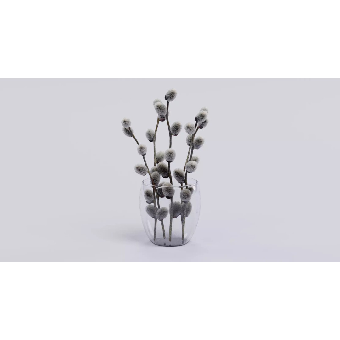 Willow Catkins 3D Model – Botanical Arrangement with PBR Textures - View 3