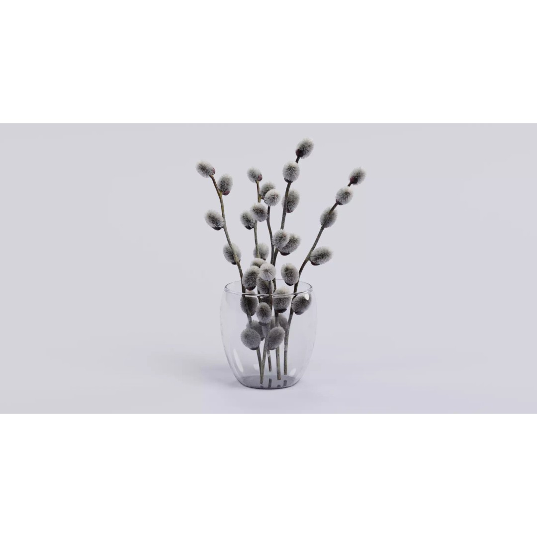 Willow Catkins 3D Model – Botanical Arrangement with PBR Textures - View 4