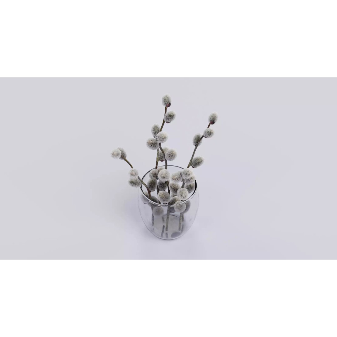 Willow Catkins 3D Model – Botanical Arrangement with PBR Textures - View 6