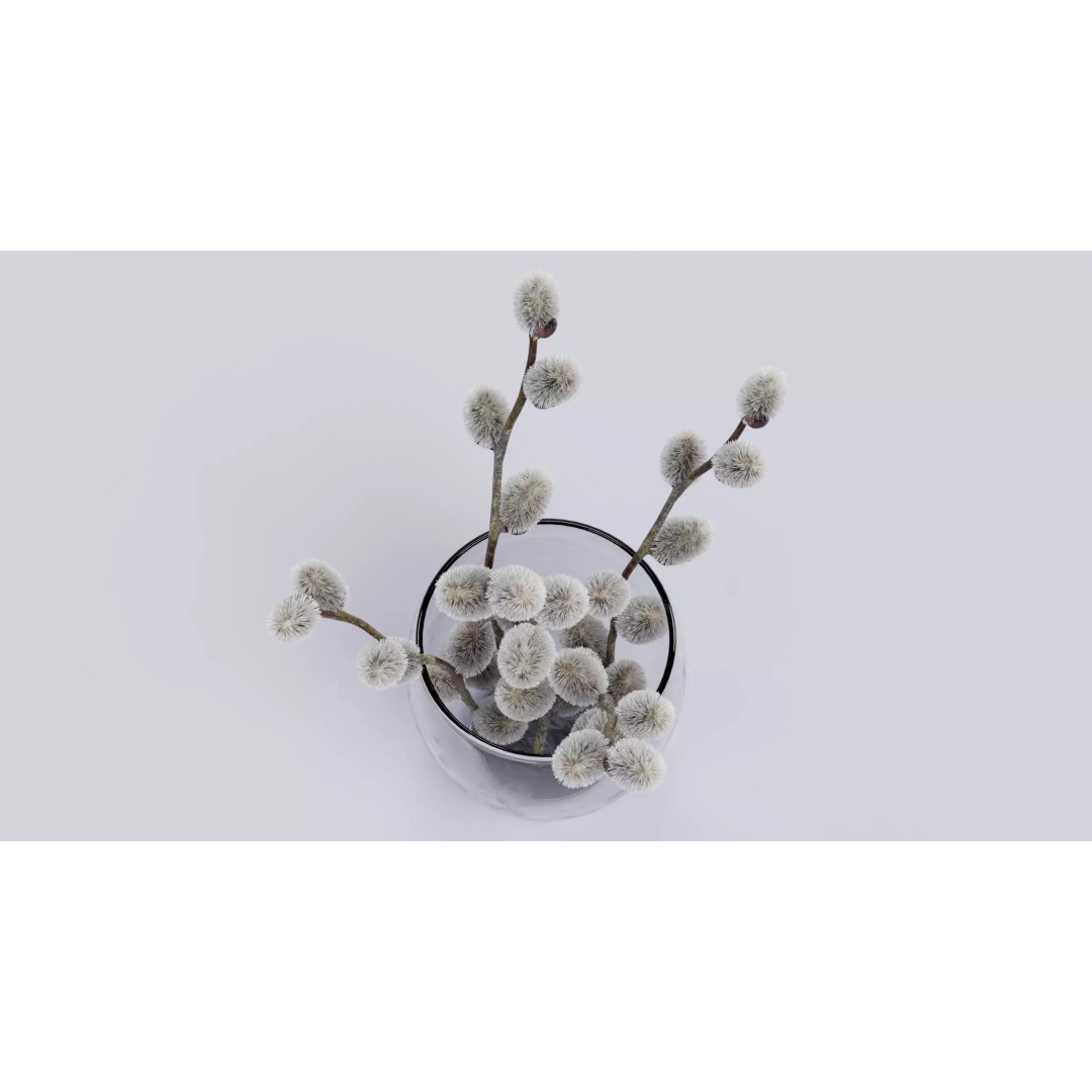 Willow Catkins 3D Model – Botanical Arrangement with PBR Textures - View 7