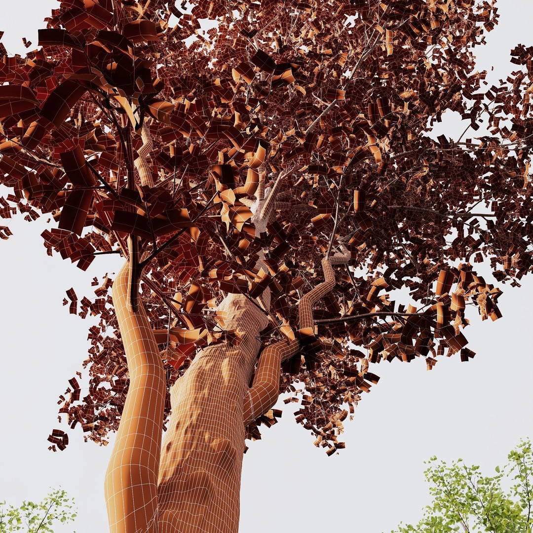 Alnus Glutinosa 3D Model – High Poly Tree Asset with PBR Textures