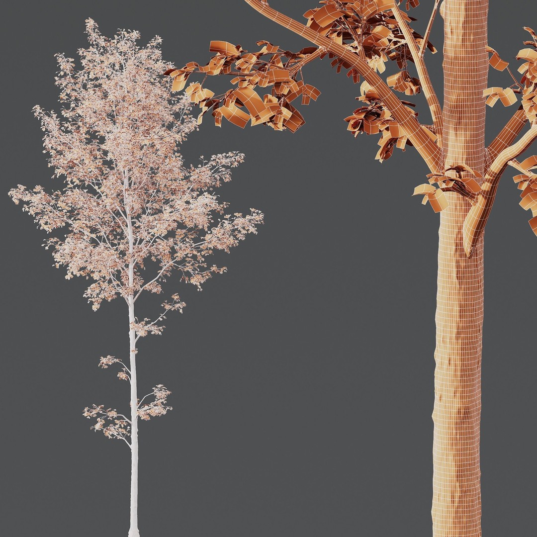 Alnus Glutinosa 3D Model – High Poly Tree Asset with PBR Textures - View 8