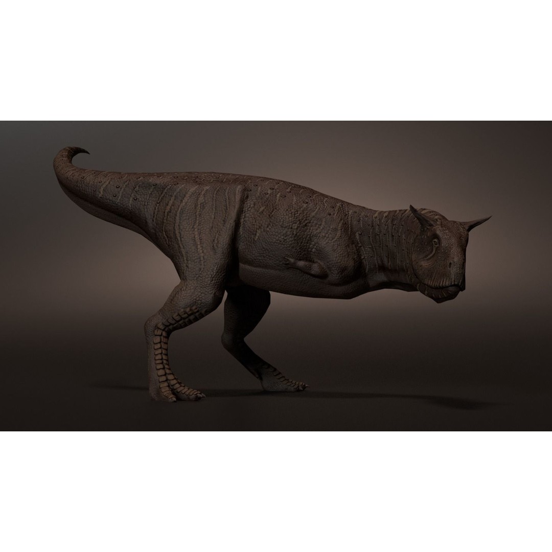 Carnotaurus 3D Model – Low Poly Game-Ready Animation, FBX & Blender - View 6
