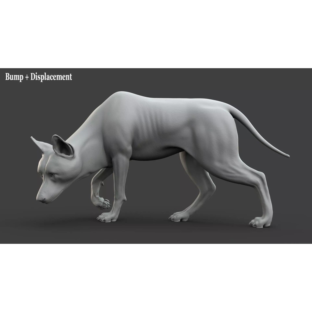 Wolf Xgen 3D Model – High Poly Rigged Animal with PBR Textures - View 10