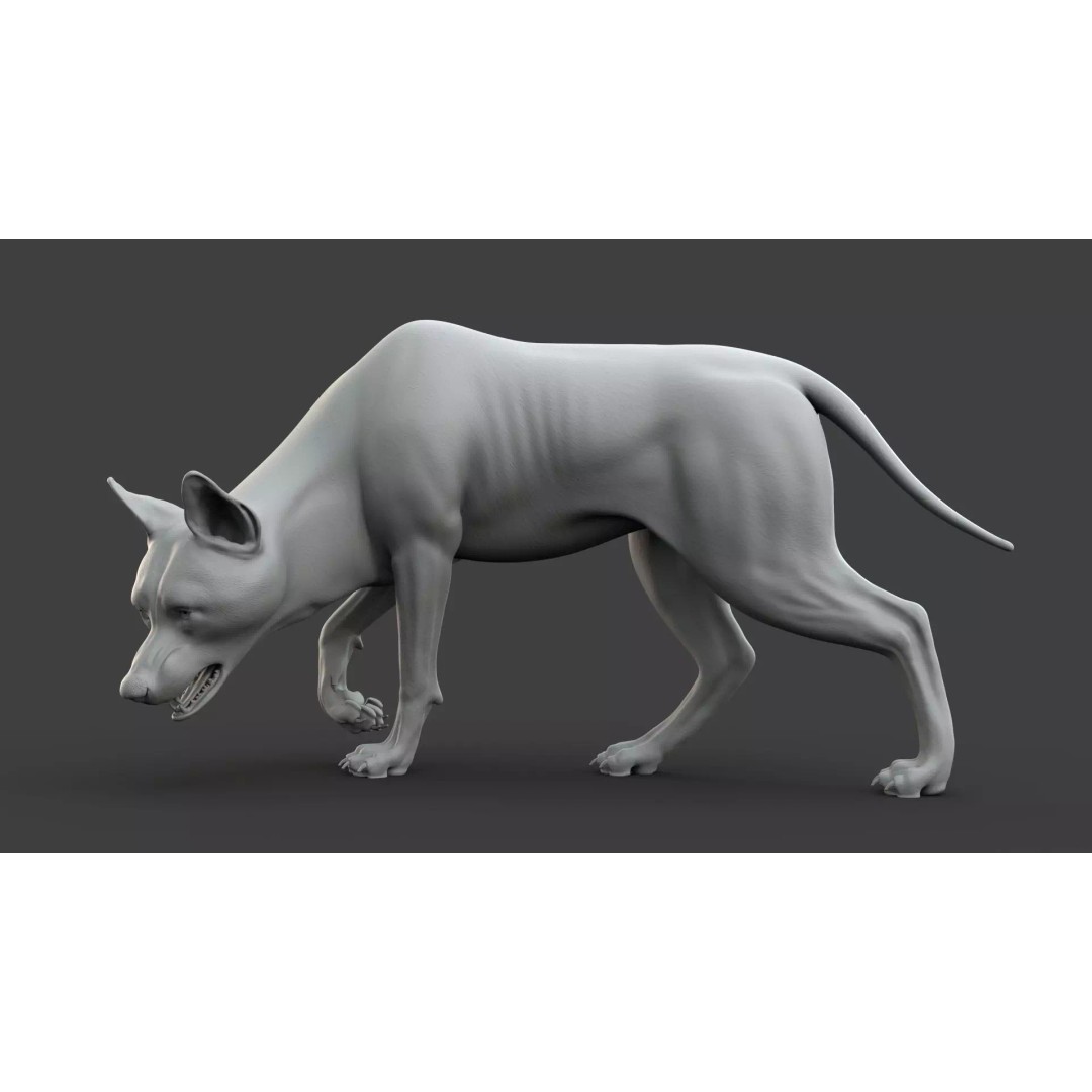 Wolf Xgen 3D Model – High Poly Rigged Animal with PBR Textures - View 11