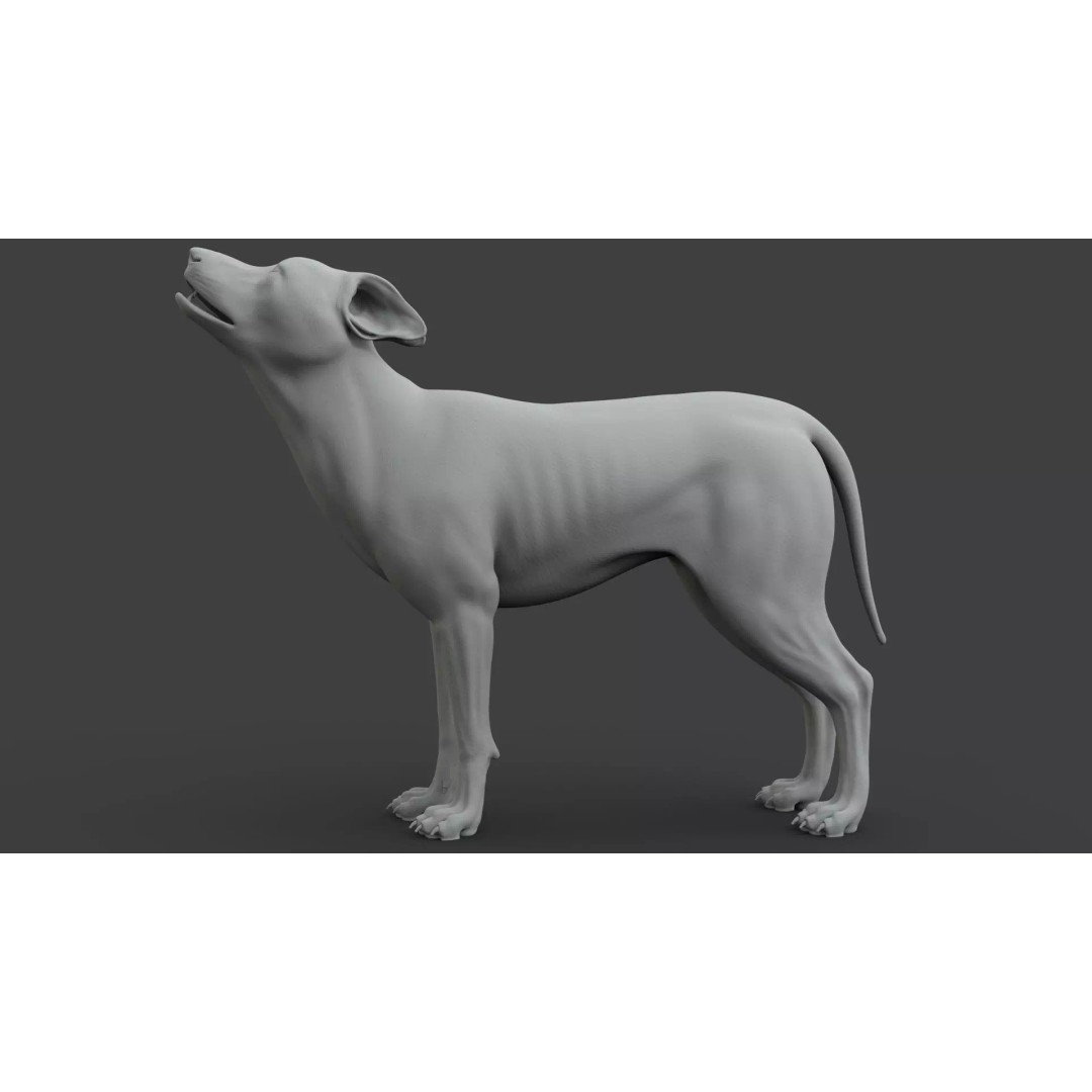 Wolf Xgen 3D Model – High Poly Rigged Animal with PBR Textures - View 12