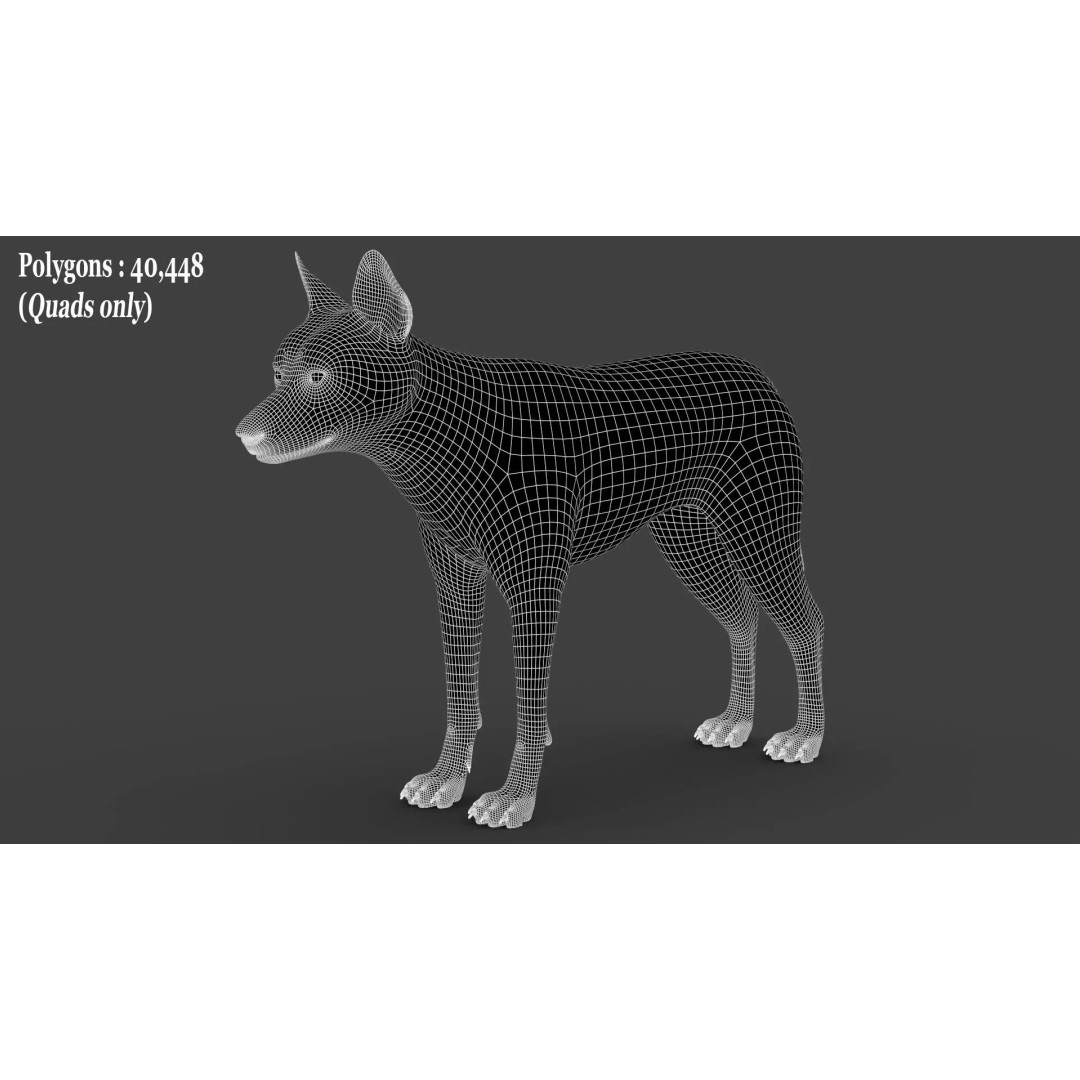 Wolf Xgen 3D Model – High Poly Rigged Animal with PBR Textures - View 13