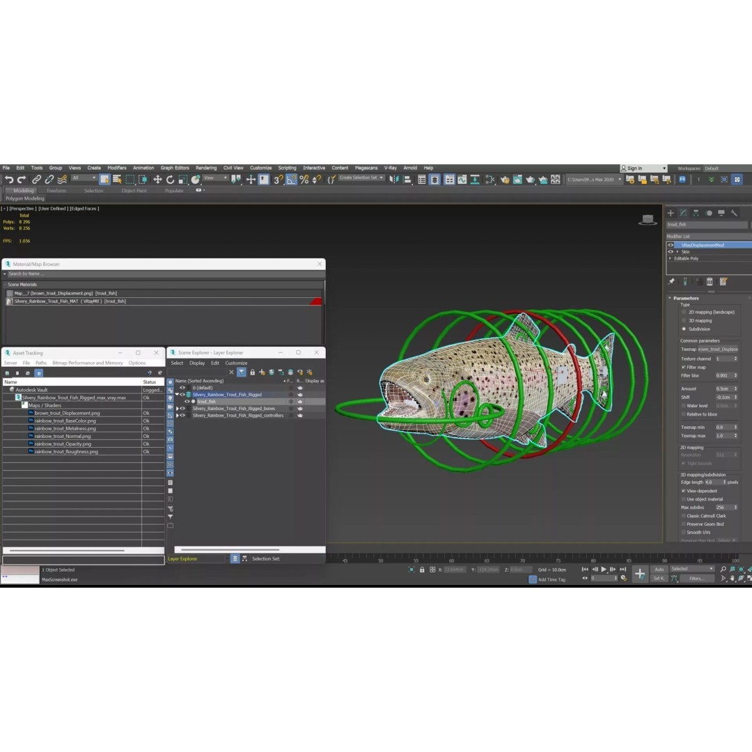 Silvery Rainbow Trout 3D Model – Rigged PBR Asset for Animation