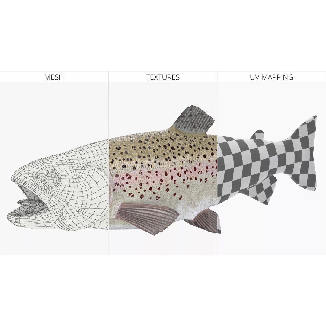 Silvery Rainbow Trout 3D Model – Rigged PBR Asset for Animation - View 10