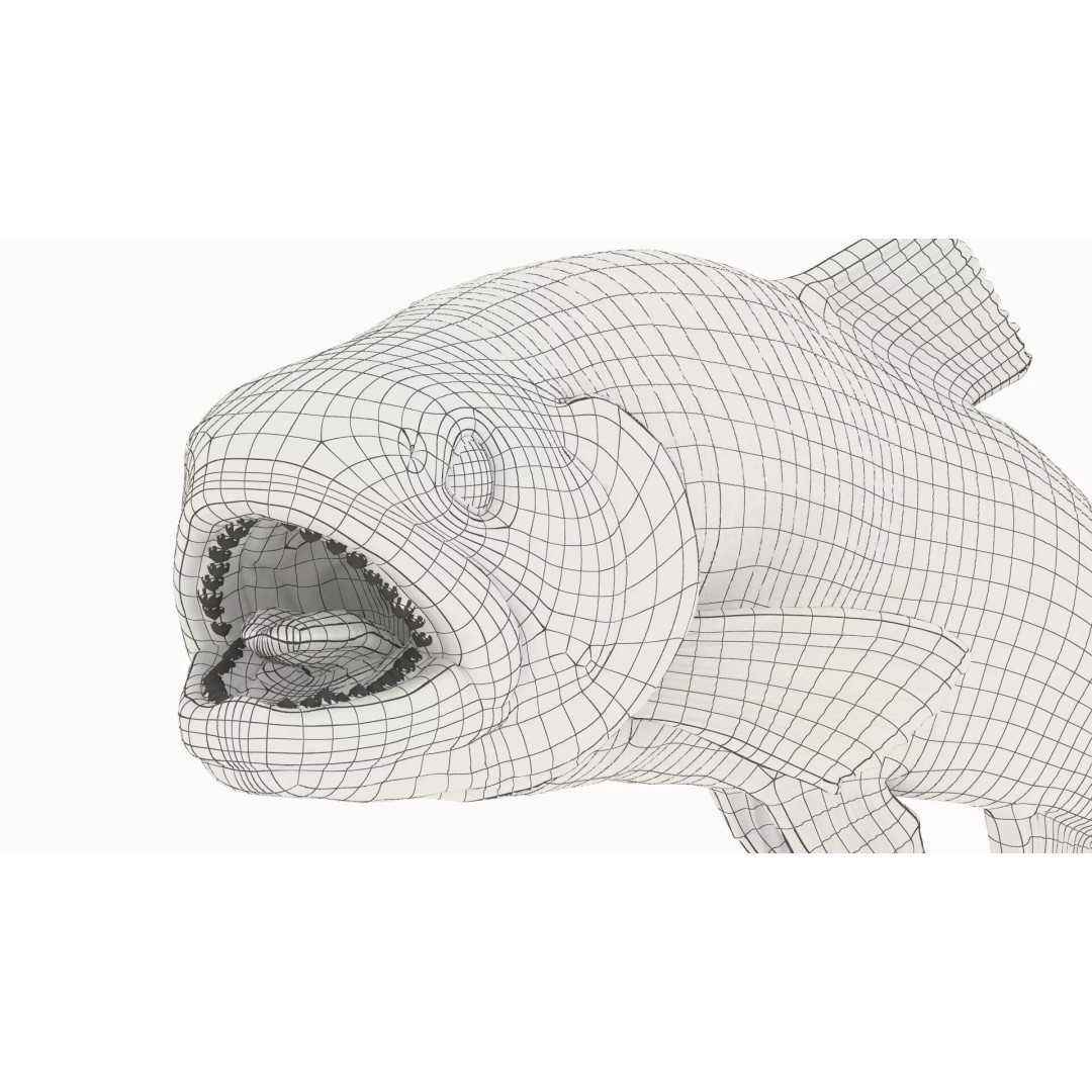 Silvery Rainbow Trout 3D Model – Rigged PBR Asset for Animation - View 12