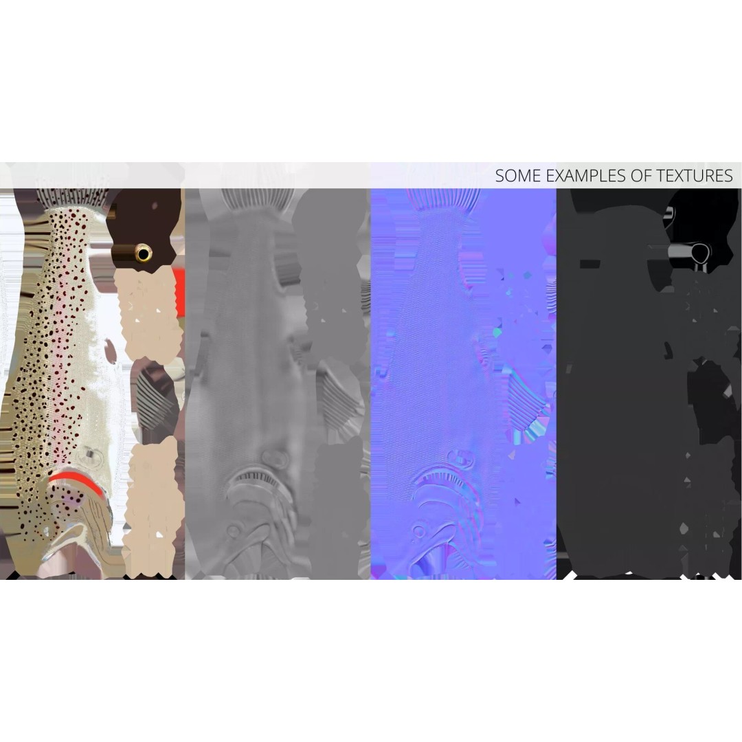 Silvery Rainbow Trout 3D Model – Rigged PBR Asset for Animation - View 14