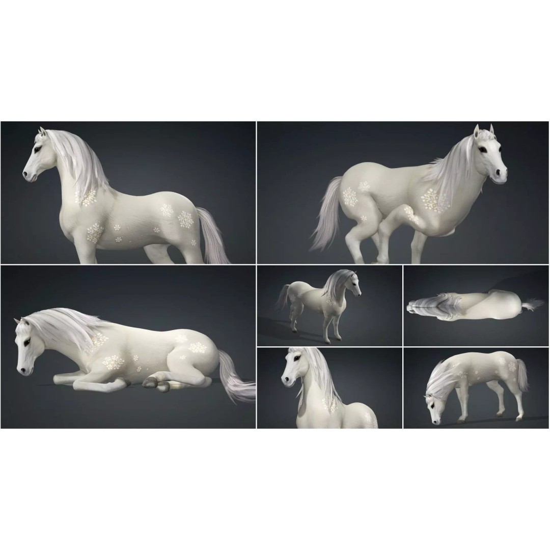 Pack of 10 Horse 3D Models – Rigged Animated Assets, FBX & Blender - View 26