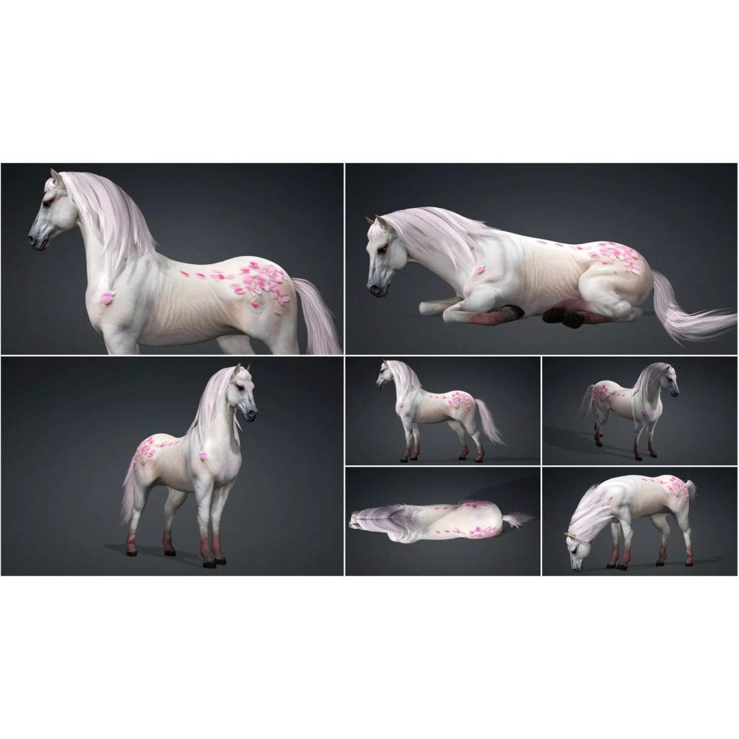 Pack of 10 Horse 3D Models – Rigged Animated Assets, FBX & Blender - View 34