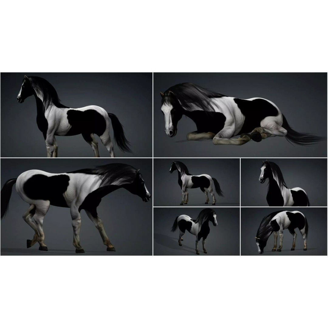 Pack of 10 Horse 3D Models – Rigged Animated Assets, FBX & Blender - View 4