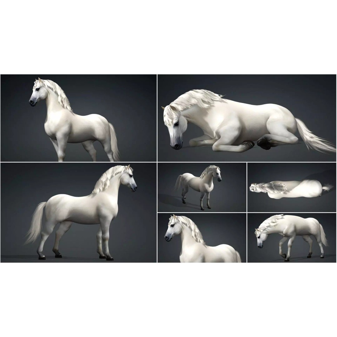Pack of 10 Horse 3D Models – Rigged Animated Assets, FBX & Blender - View 40