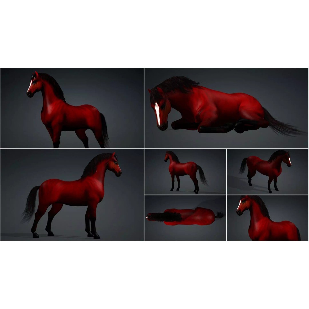 Pack of 10 Horse 3D Models – Rigged Animated Assets, FBX & Blender - View 42