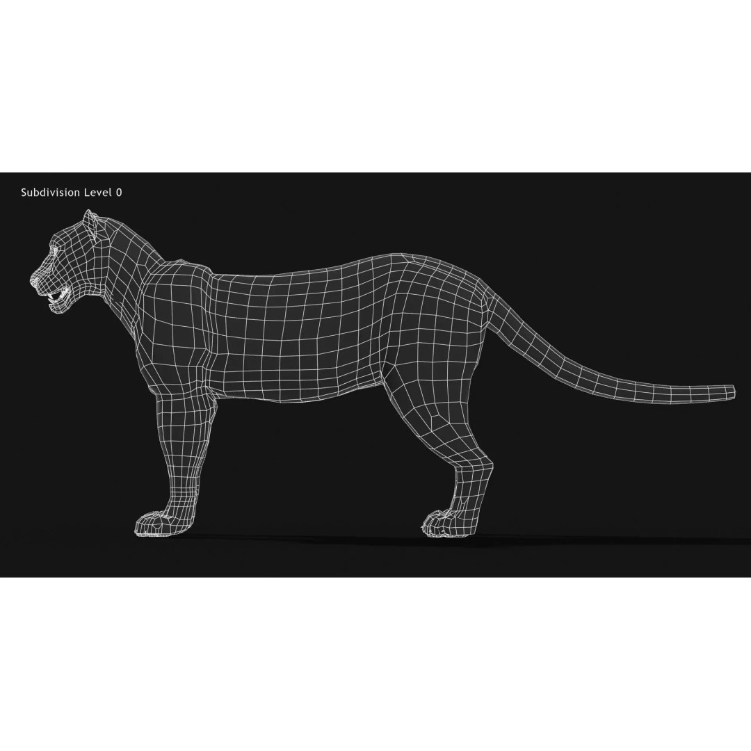 Animated Snow Leopard 3D Model – Low Poly Rigged Asset with PBR Textures - View 19