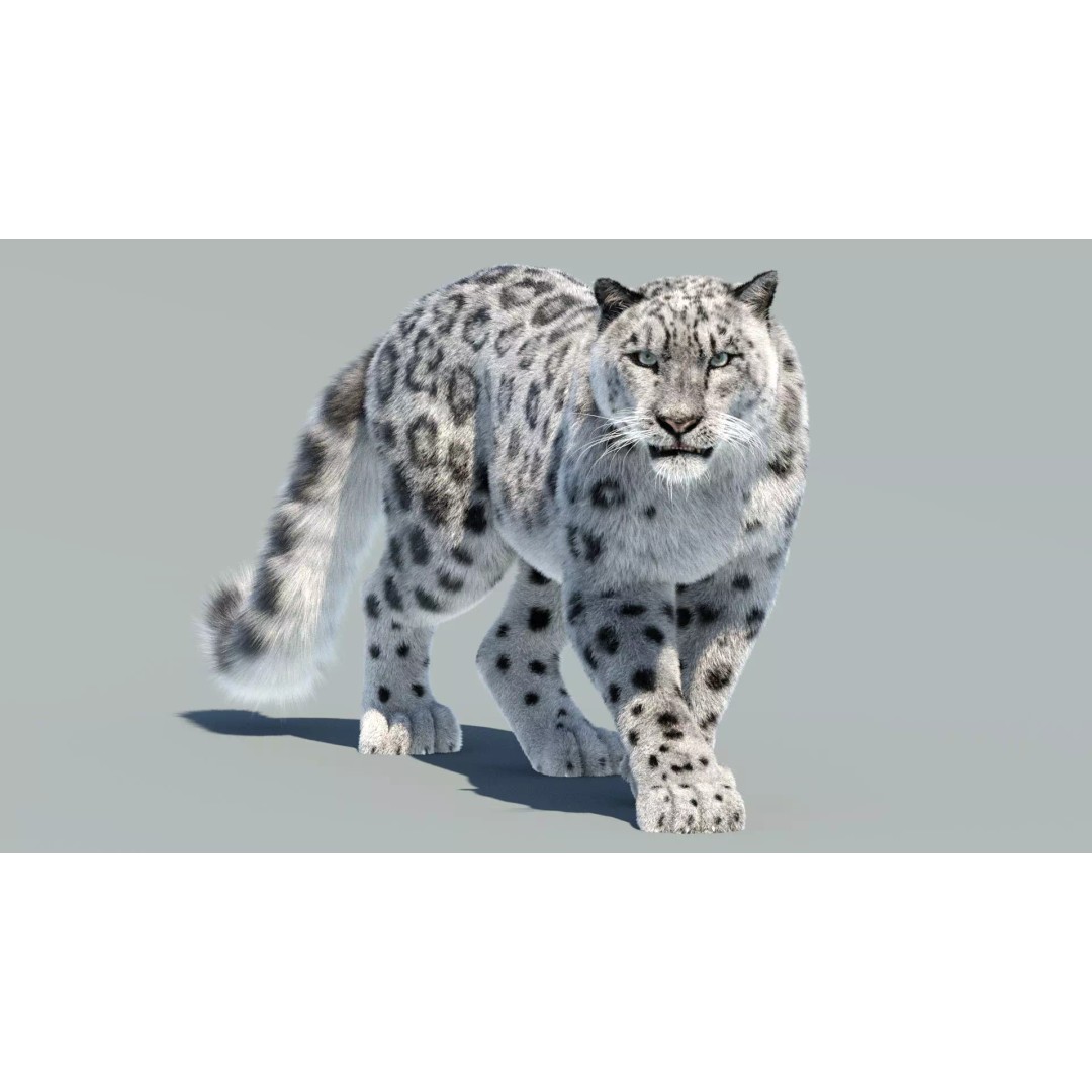 Animated Snow Leopard 3D Model – Low Poly Rigged Asset with PBR Textures - View 2