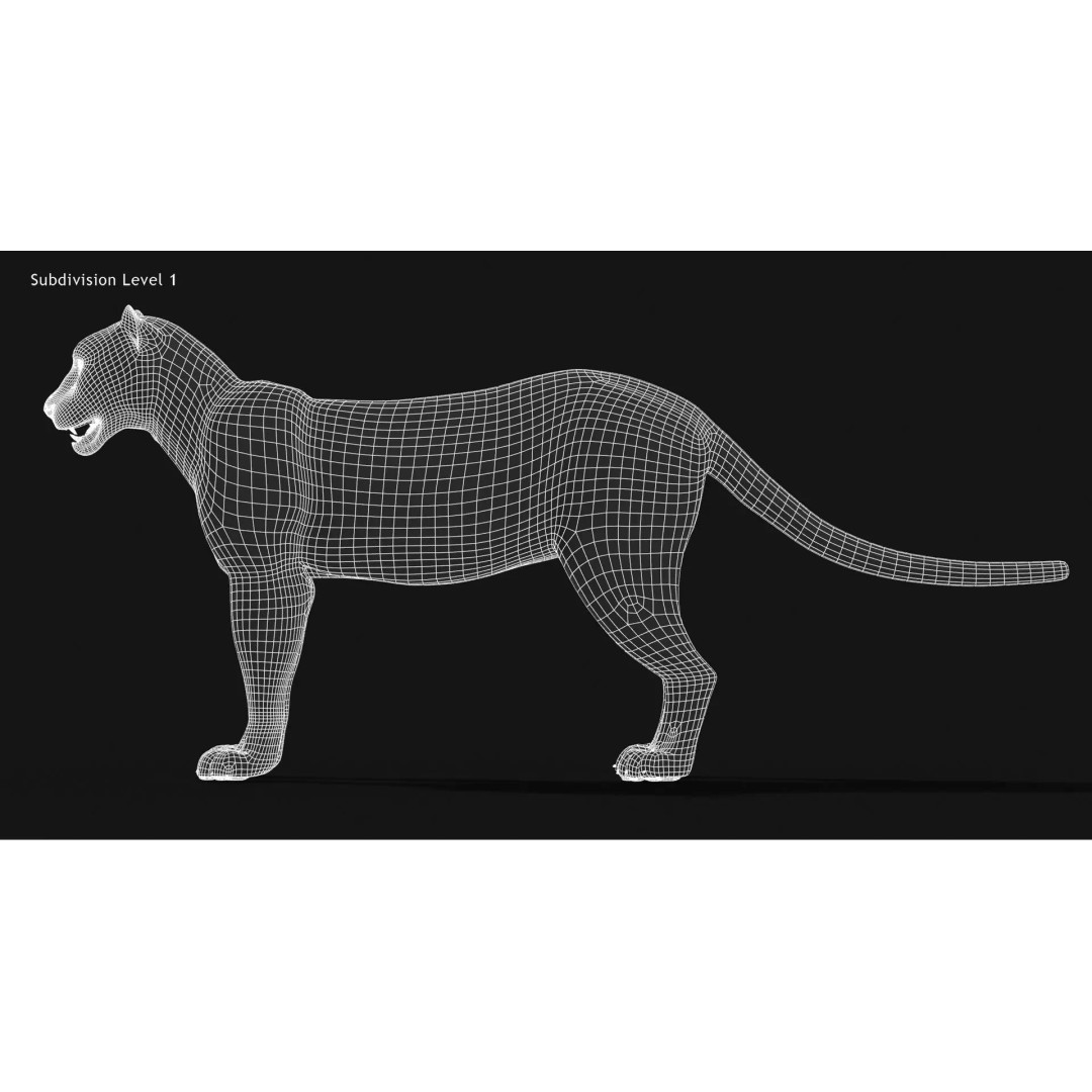 Animated Snow Leopard 3D Model – Low Poly Rigged Asset with PBR Textures - View 20