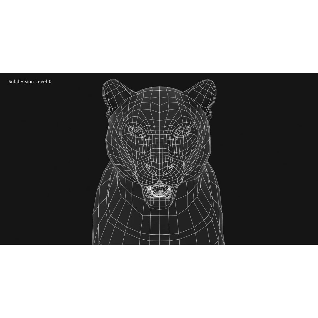 Animated Snow Leopard 3D Model – Low Poly Rigged Asset with PBR Textures - View 21