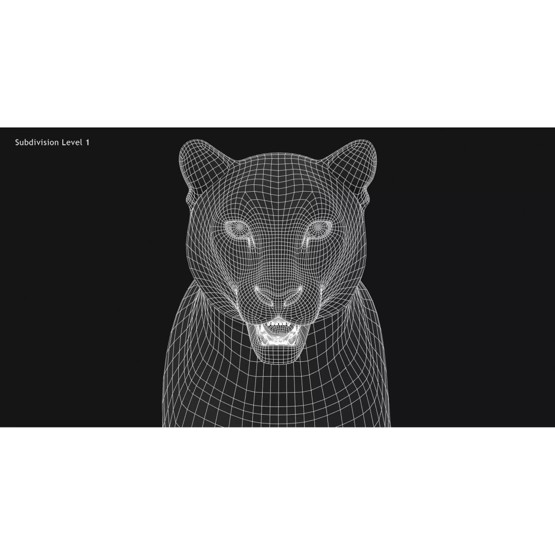 Animated Snow Leopard 3D Model – Low Poly Rigged Asset with PBR Textures - View 22