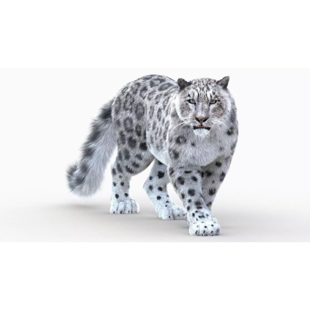 Animated Snow Leopard 3D Model – Low Poly Rigged Asset with PBR Textures - View 4