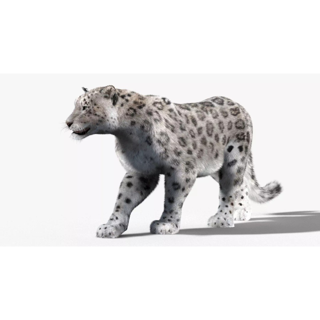 Animated Snow Leopard 3D Model – Low Poly Rigged Asset with PBR Textures - View 8
