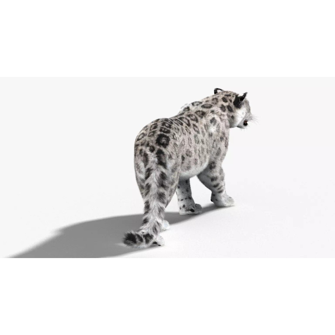 Animated Snow Leopard 3D Model – Low Poly Rigged Asset with PBR Textures - View 9