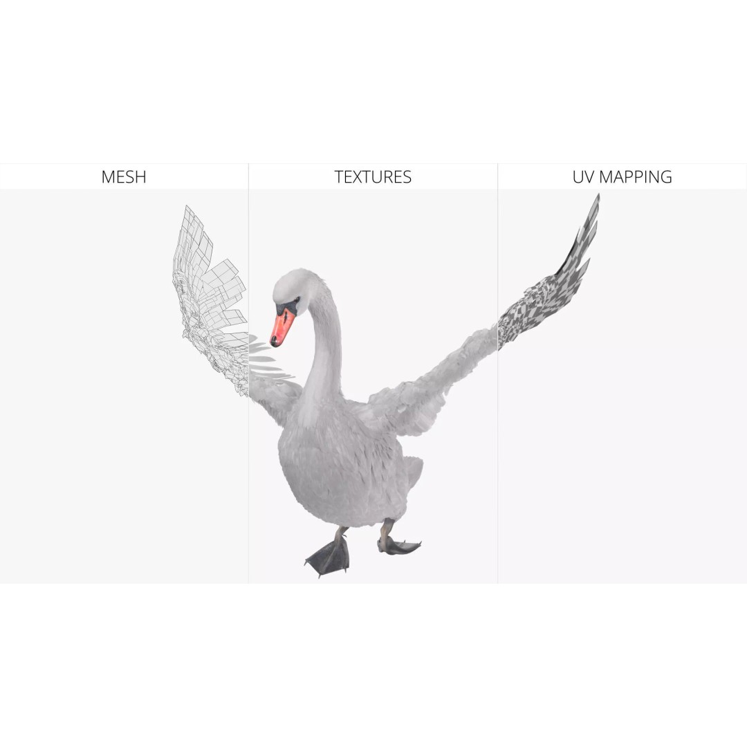 White Swan 3D Model – Animated Rigged Blender Asset for Nature Scenes - View 11