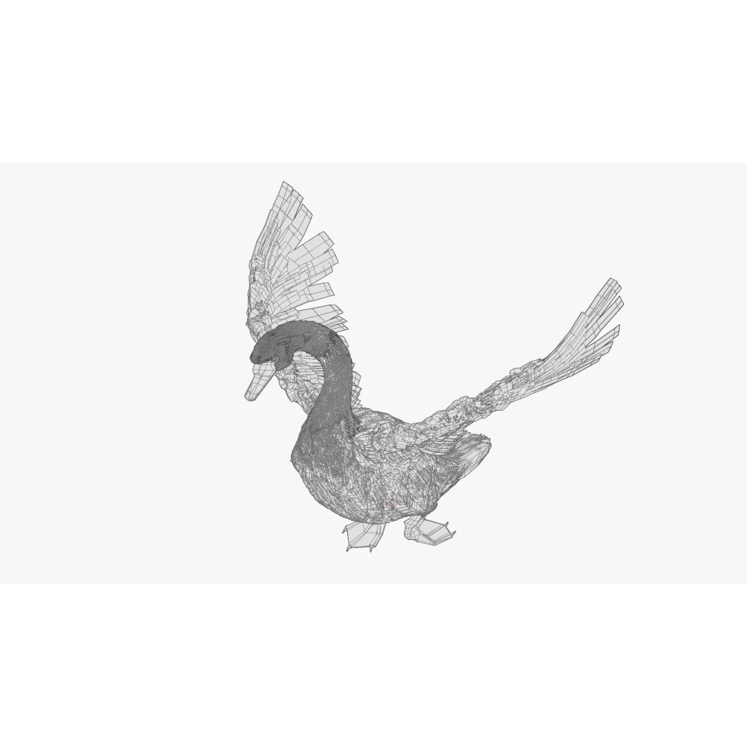 White Swan 3D Model – Animated Rigged Blender Asset for Nature Scenes - View 14