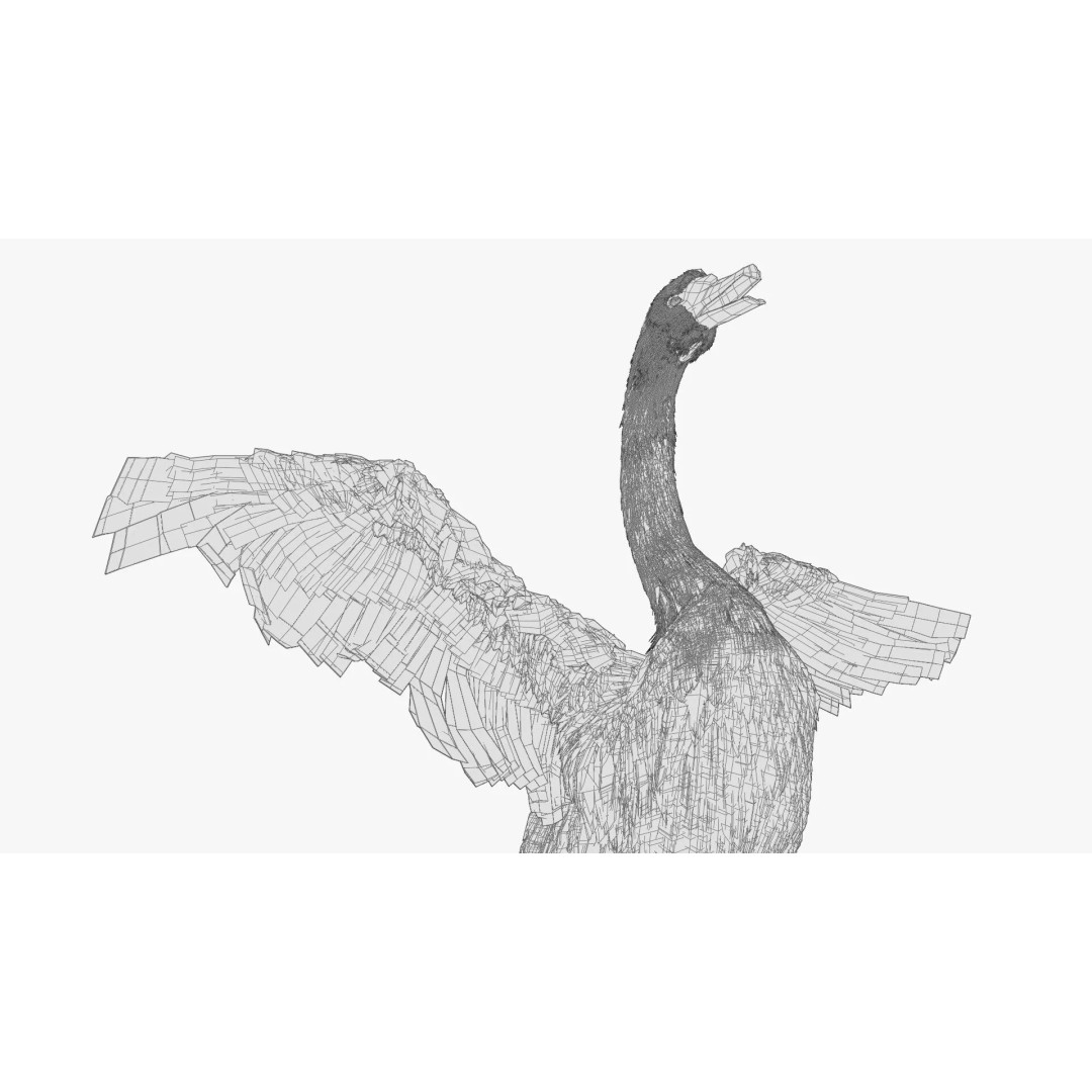 White Swan 3D Model – Animated Rigged Blender Asset for Nature Scenes - View 15