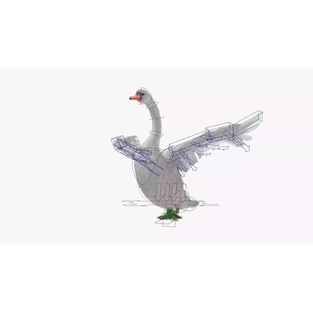 White Swan 3D Model – Animated Rigged Blender Asset for Nature Scenes - View 6