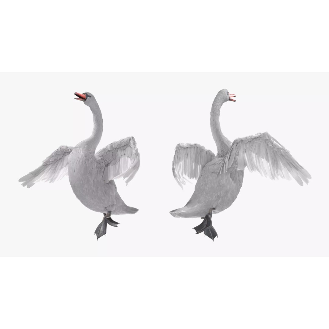 White Swan 3D Model – Animated Rigged Blender Asset for Nature Scenes - View 7
