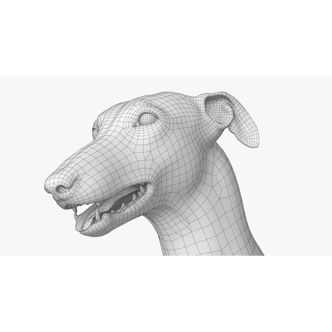 Spanish Greyhound 3D Model – Highly Detailed Realistic Pet, FBX - View 29