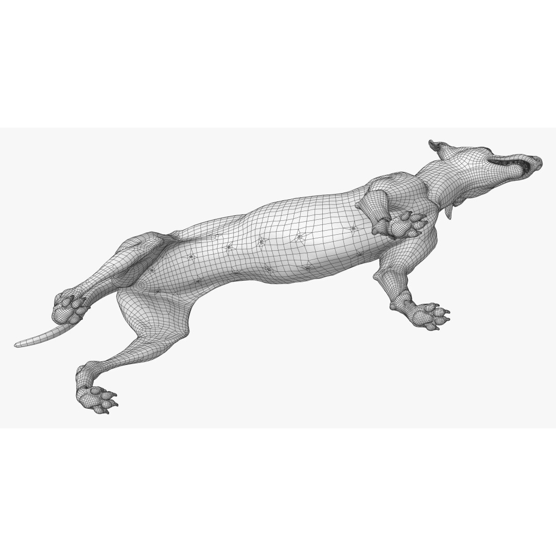 Spanish Greyhound 3D Model – Highly Detailed Realistic Pet, FBX - View 34