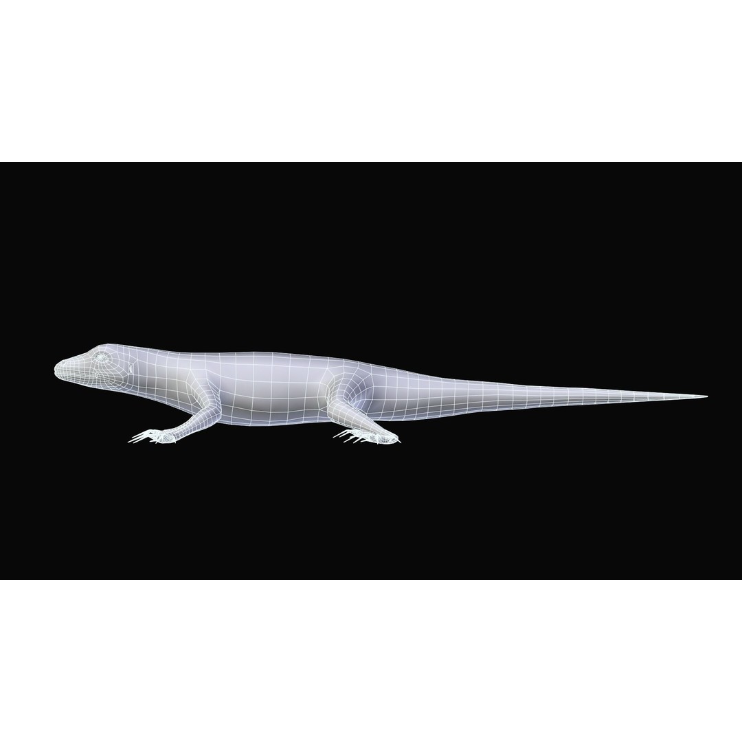 Podarcis Sicula 3D Model – Low Poly Rigged Lizard, FBX, PBR Textures
