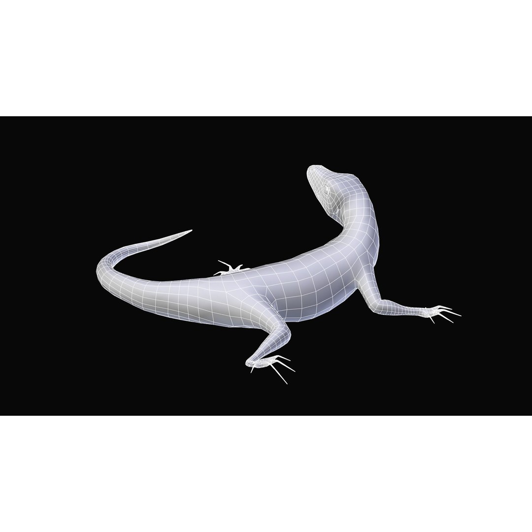Podarcis Sicula 3D Model – Low Poly Rigged Lizard, FBX, PBR Textures - View 10