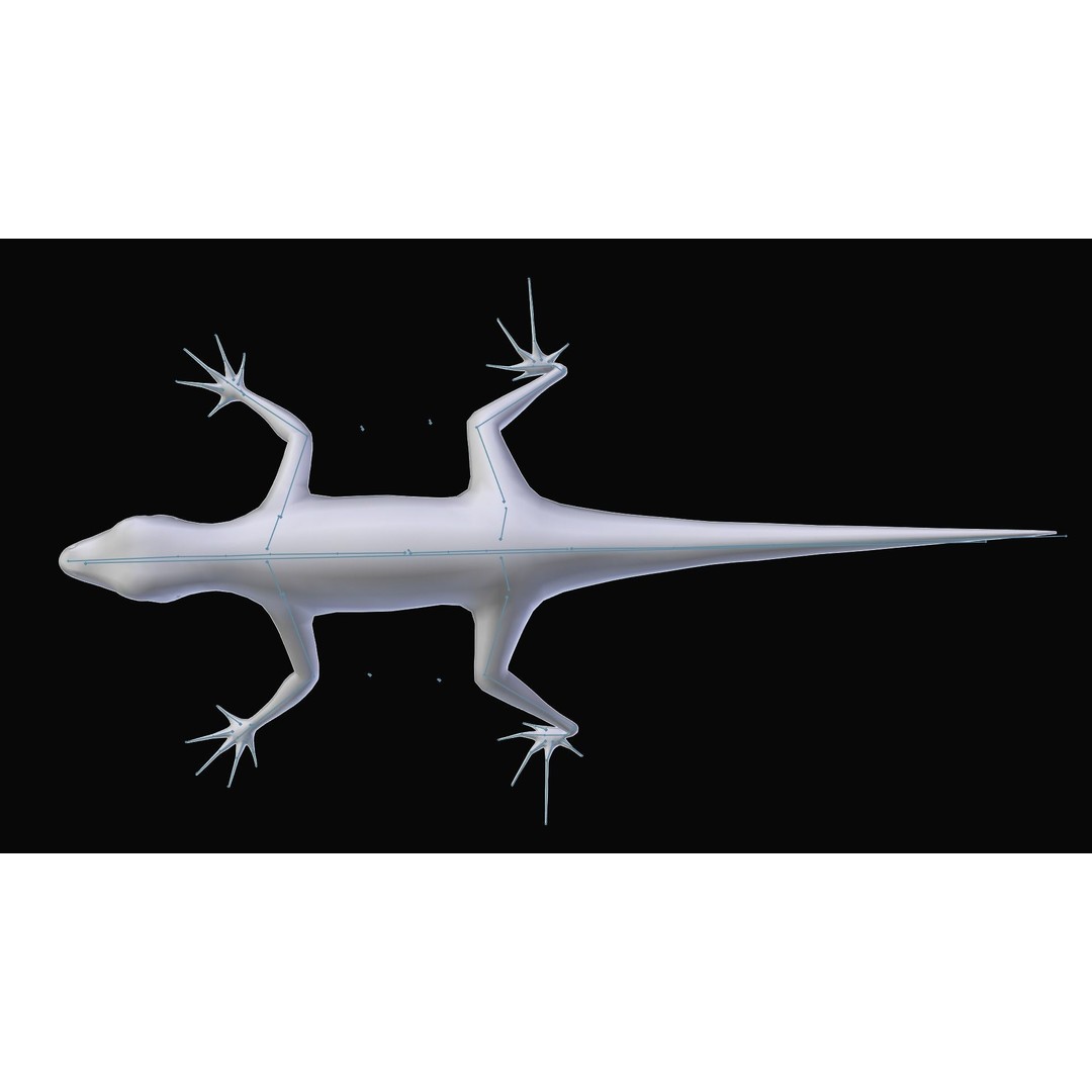 Podarcis Sicula 3D Model – Low Poly Rigged Lizard, FBX, PBR Textures - View 12