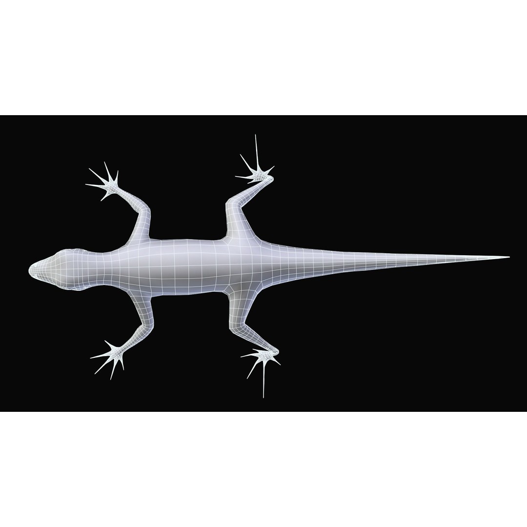 Podarcis Sicula 3D Model – Low Poly Rigged Lizard, FBX, PBR Textures - View 13