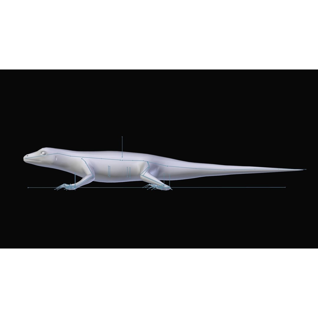 Podarcis Sicula 3D Model – Low Poly Rigged Lizard, FBX, PBR Textures - View 15